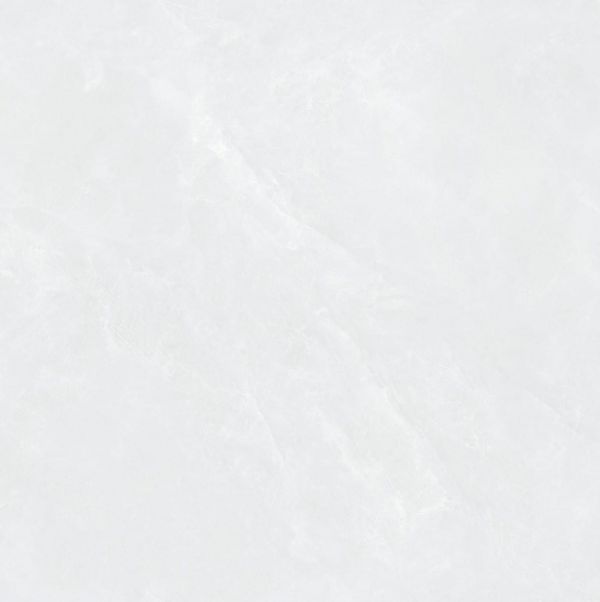 E0PG599XG产品图