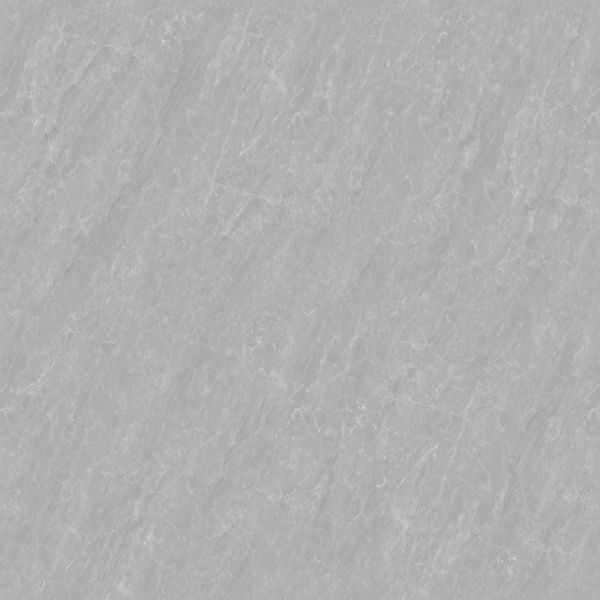 E0PK419XG产品图