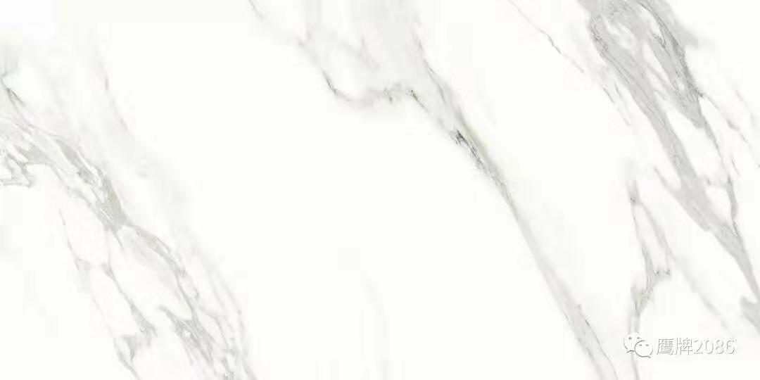 黑白之间，彰显最永恒的女神气质 | 鹰牌2086新品上市(图16)