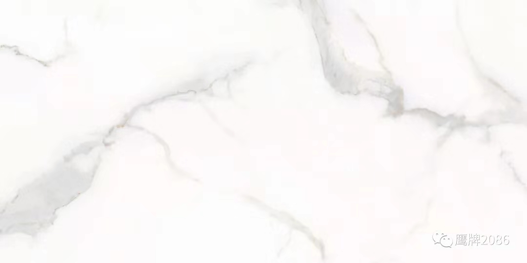 黑白之间，彰显最永恒的女神气质 | 鹰牌2086新品上市(图18)