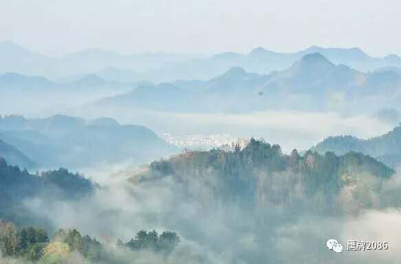 留白的艺术 | 人生别太拥挤，才能游刃有余(图1)