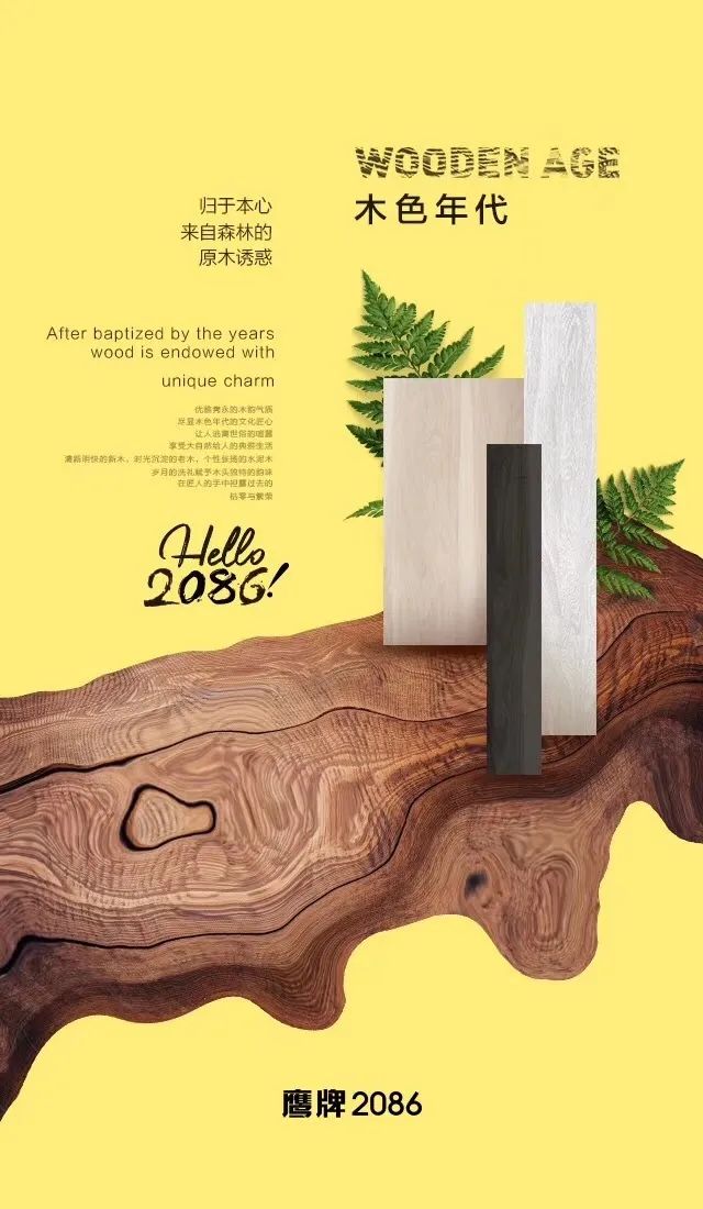 2020产品系列优化升级——鹰牌2086现代砖(图12) 2020产品系列优化升级——鹰牌2086现代砖(图12)