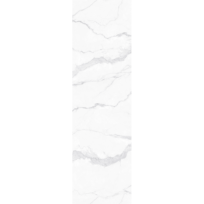 W2PR01CG 鱼肚白产品图