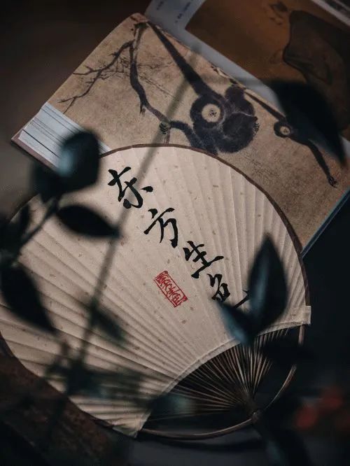 追寻东方生活美学，打造诗意生活方式(图7)