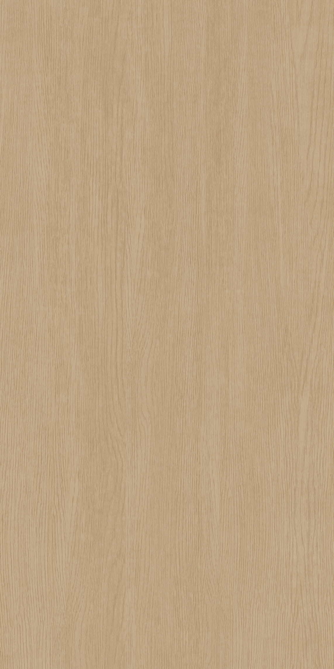 Y1FMP165T100G产品图